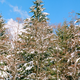 Illustration for article titled First roll of Ektar 100